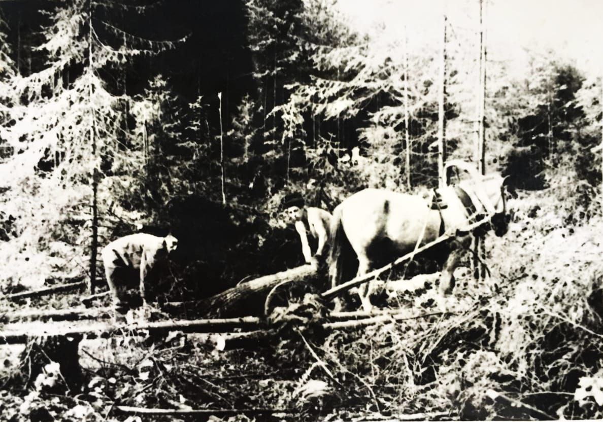 19. билгесезлэр.