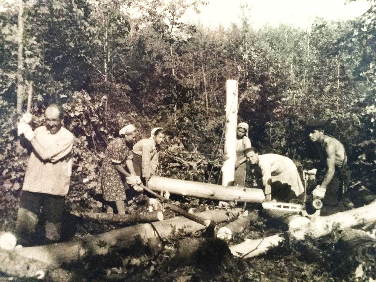 1954 ел. Урман кисучелэр Гали, Асыл ,Асыл, Наилэ,Хэдичэ,Голирам,Каюм.