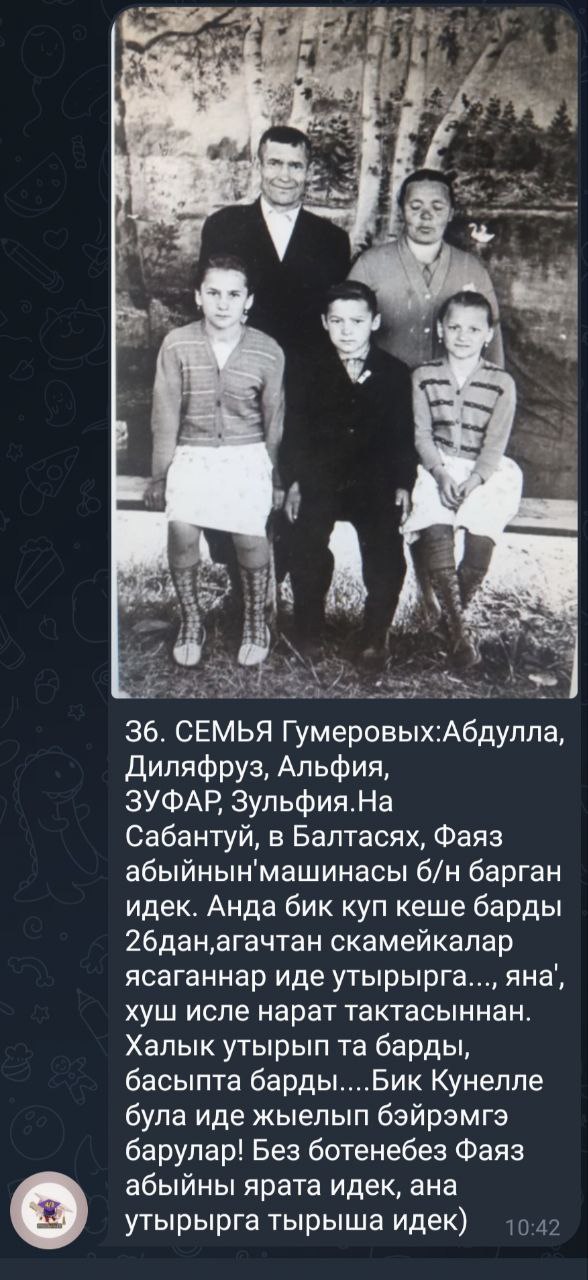 36.  Золфия истэлеклэре.