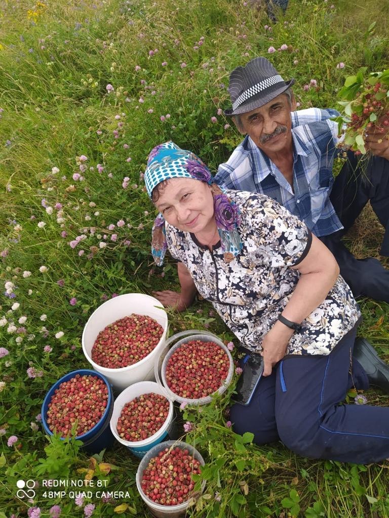 IMAGE 2026-05-02 194240